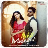 Pehli Mulaqat Album