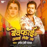 Bewafai Ke Award Leke Ja Album