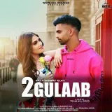 2 Gulaab Album