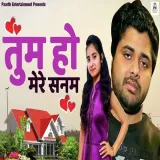 Tum Ho Mere Sanam