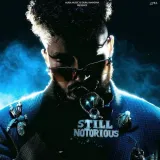 STILL NOTORIOUS Album
