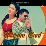 Naram Gaat Album