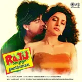 Raju Ban Gaya Gentleman Album
