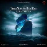 Jaana Zaroori Hai Kya
 - Amit Kumaran Album