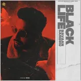 Black Life Album