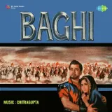 Baghi Album