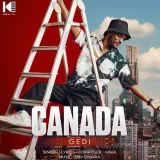 Canada Gedi Album