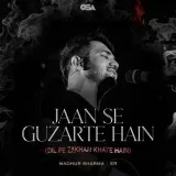 Jaan Se Guzarte Hain (Dil Pe Zakham Khate Hain)