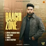 Baaghi Zone Album