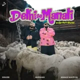 Delhi Se Manali (Ladka Tera Diwana) Album