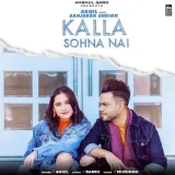 Kalla Sohna Nai Album