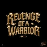 Revenge of a Warrior