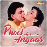 Phool Aur Angaar Album