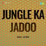 Chandni Raat Mein Jane Kya Baat Re - Jungle Ka Jadoo