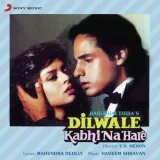 Dilwale Kabhi Na Hare Album