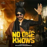 No One Knows Album
