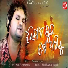Jhari Jae Luha Mo Akhiru - Humane Sagar MP3 Songs