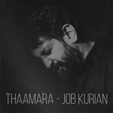 Thaamara (Live) - Job Kurian MP3 Songs