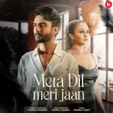 Mera Dil Meri Jaan - Hardil Pandya - Hardil Pandya MP3 Songs
