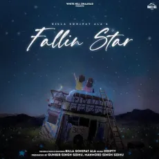 Fallin Star - Billa Sonipat Ala, Deepty MP3 Songs