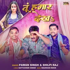 Tu Hamaar Dekha - Pawan Singh, Shilpi Raj MP3 Songs