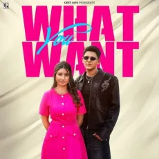 What You Want - Arjun Sahota - Arjun Sahota, Gurlej Akhtar MP3 Songs