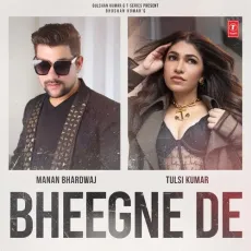 Bheegne De - Tulsi Kumar - Tulsi Kumar, Manan Bhardwaj MP3 Songs