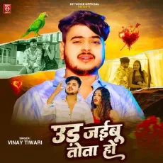 Ud Jaibu Tota Ho - Vinay Tiwari MP3 Songs