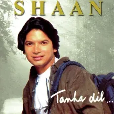 Tanha Dil - Shaan MP3 Songs