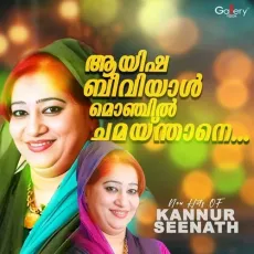 Kanneerthullikal - Kannur Seenath MP3 Songs