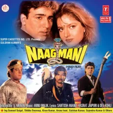 Likh De Piya Ka Naam - Naagmani - Anuradha Paudwal MP3 Songs