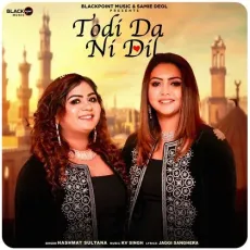 Todi Da Ni Dil - Hashmat Sultana Play And Download mp3 song - Hashmat Sultana, Samie Deol, KV Singh MP3 Songs