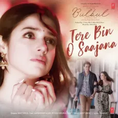Tere Bin O Saajana - Bulbul (A Short Film) - Meet Bros, Piyush Mehroliyaa MP3 Songs