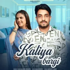 Kaliya Bargi - Sunil Dharoli MP3 Songs