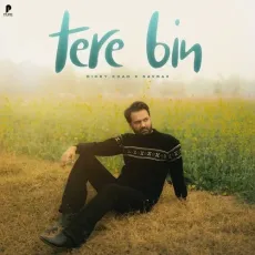 Tere Bin - Ricky Khan, Savraj MP3 Songs