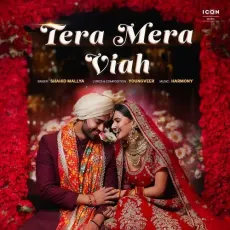 Tera Mera Viah - Youngveer - Youngveer, Shahid Mallya, Harmony MP3 Songs