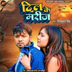 Dil Ke Mareej - Neelkamal Singh MP3 Songs