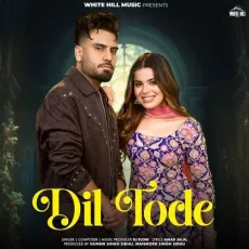 Dil Tode - Dj Flow MP3 Songs