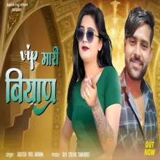 Vip Mari Biyan - Jagdish Yogi Barana - Jagdish Yogi Barana MP3 Songs