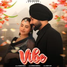 Vibe - Naibb Singh Song - Naibb Singh, Beatcop, Devinder Dhanju MP3 Songs