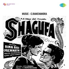 Chheen Sake To Chheen Le - Shagufa - Lata Mangeshkar MP3 Songs