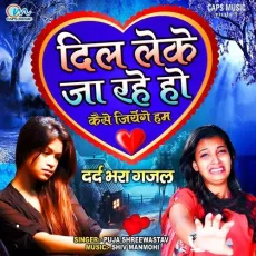 Dil Leke Ja Rahe Ho - Puja Shreewastav MP3 Songs
