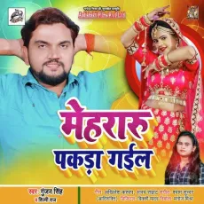 Mehraru Pakda Gayil - Shilpi Raj, Gunjan Singh MP3 Songs