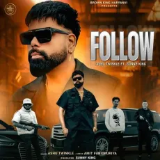 Follow - Ashu Twinkle, Sunny King MP3 Songs