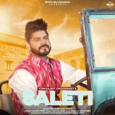 Saleti - Vishvajeet Choudhary MP3 Songs