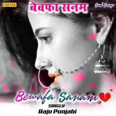 Bewafa Sanam - Raju Punjabi MP3 Songs