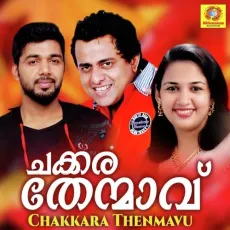 Pani Neerin M - Salim Kodathur MP3 Songs