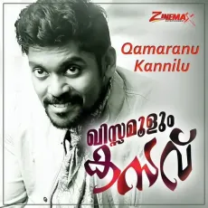 Qamaranu Kannilu - Vidhu Prathap MP3 Songs
