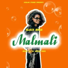 Malmali - DJ UDAYA SAHU, Black Bhaa MP3 Songs