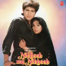 Chhup Chhup Ke Duniya Se Kab Tak Milen - Duet - Mehboob Mere Mehboob - Anuradha Paudwal, Vipin Sachdeva MP3 Songs